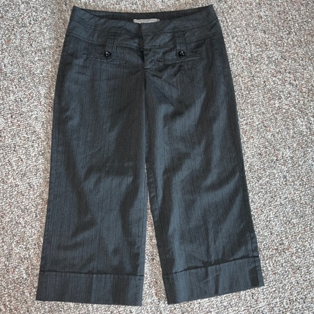Style that works by Vanity capri size 3​
